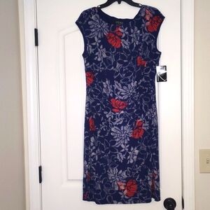 Kasper Dress in Red/White and Blue